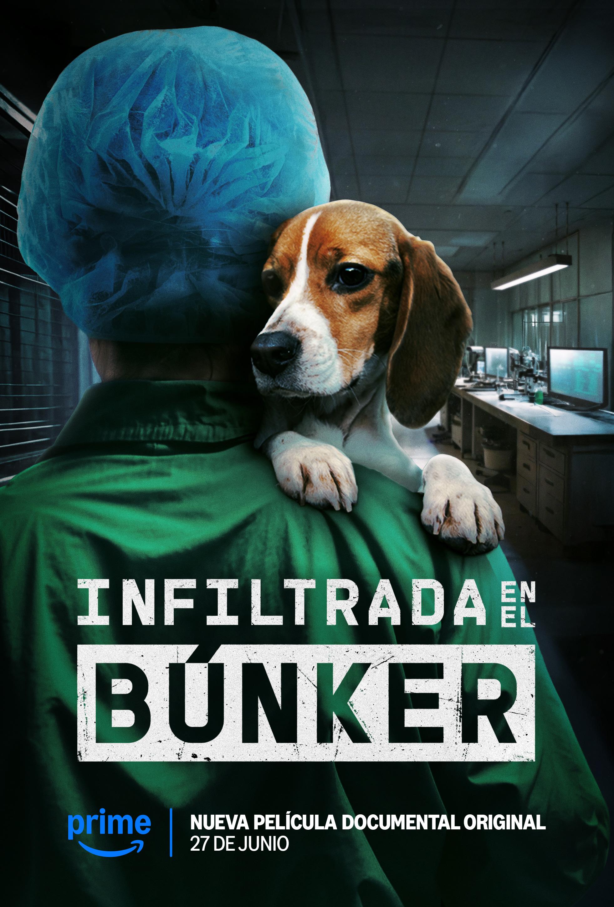 Poster of Infiltrada en el búnker