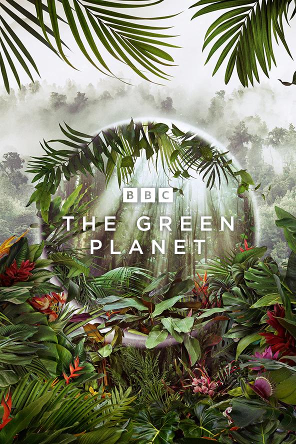 Poster of The Green Planet