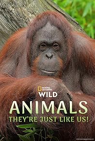Primary photo for Animals, They're Just Like Us! Primary photo for Animals, They're Just Like Us!