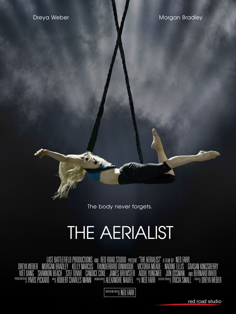 Poster of The Aerialist