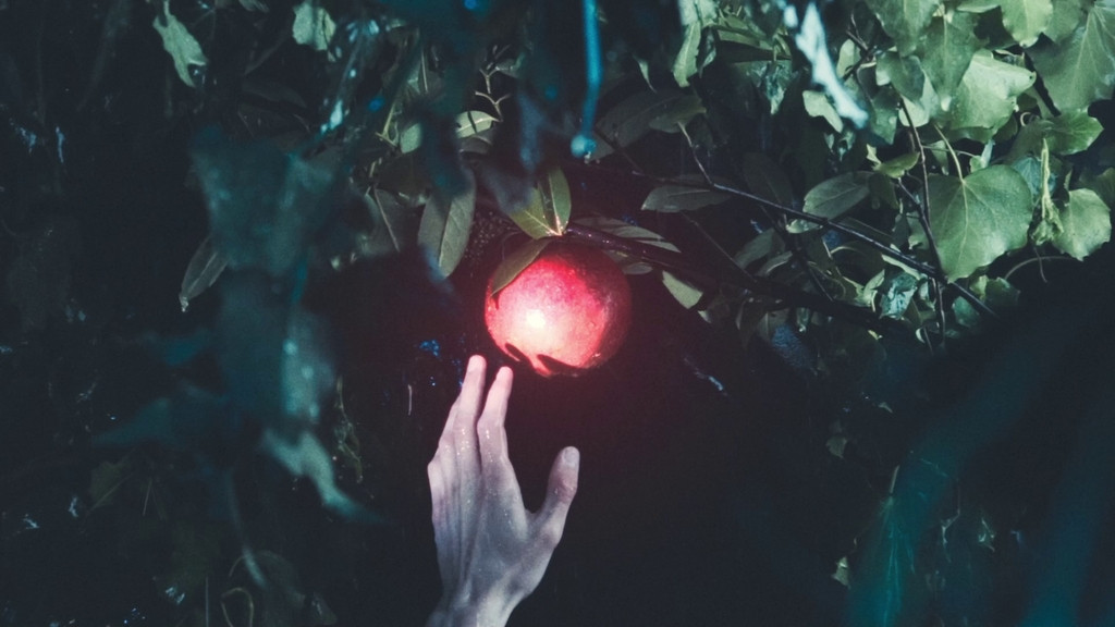 Gedanken im Sonnenlicht