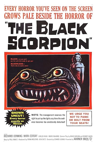 Primary photo for The Black Scorpion Primary photo for The Black Scorpion
