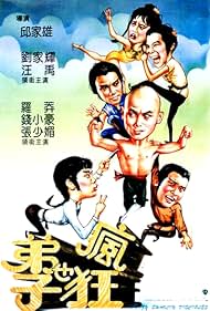 映画「Crazy Shaolin Disciples」 輸入盤DVD 映画「Crazy Shaolin Disciples」 輸入盤DVD 映画「Crazy