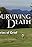 Surviving Death