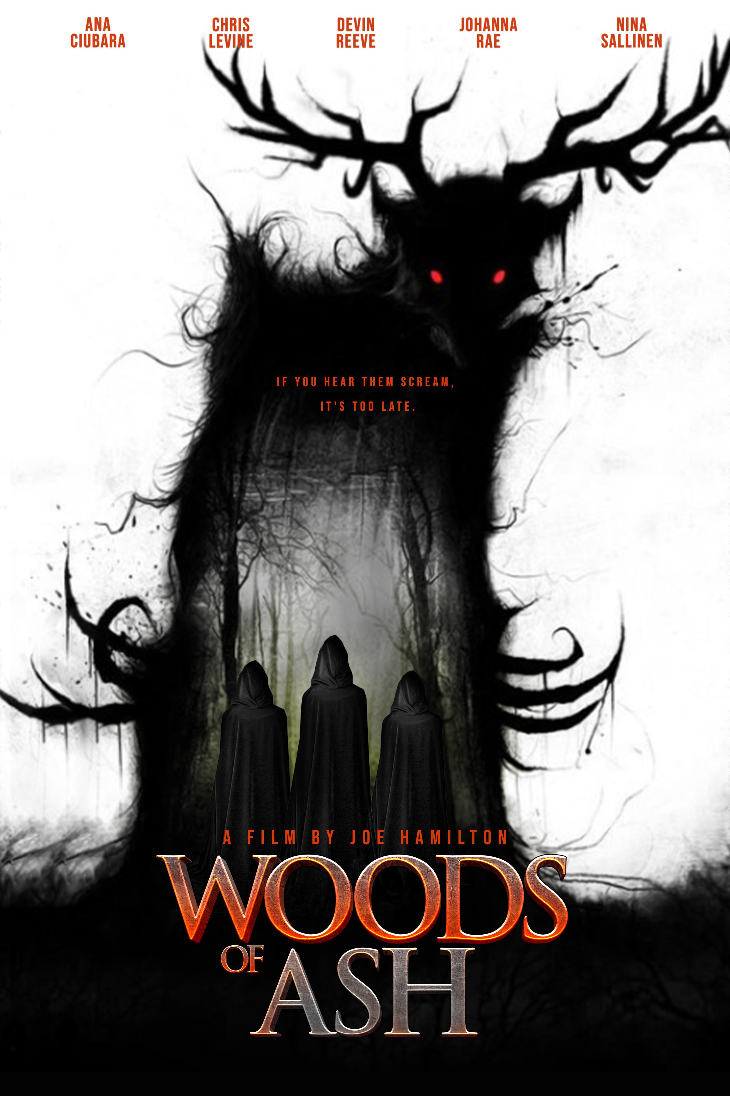 Poster of Woods of Ash