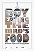 Primary photo for Boy Eating the Bird's Food