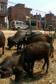 Primary photo for Sacred Pain