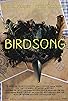 Primary photo for Birdsong Primary photo for Birdsong