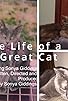 Primary photo for The Life of a Great Cat