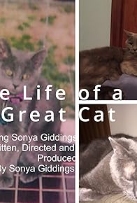 Primary photo for The Life of a Great Cat Primary photo for The Life of a Great Cat