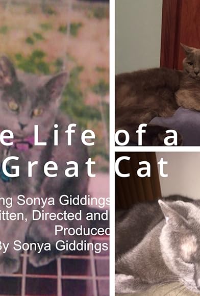 Primary photo for The Life of a Great Cat Primary photo for The Life of a Great Cat