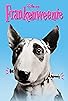 Primary photo for Frankenweenie