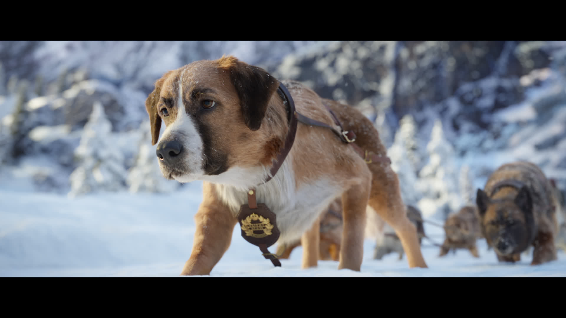 The Call Of The Wild Buck And Spitz Fighting