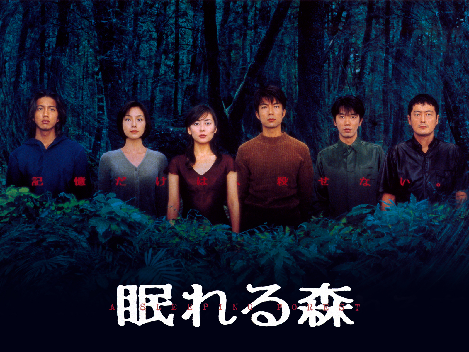 眠れる森 A Sleeping Forest DVD 6枚組 眠れる森 DVD-BOX 木村拓哉 中山美穂 本編全話 日本ドラマ 6枚組