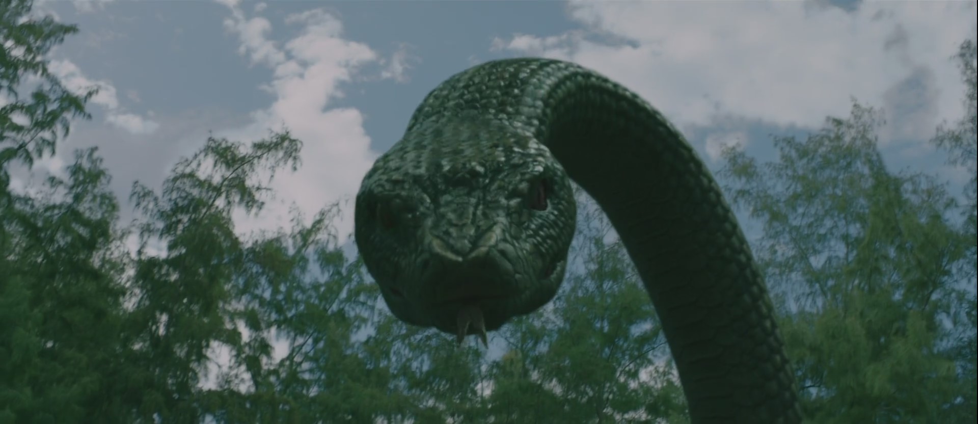 Deep Sea Python (2023) - IMDb