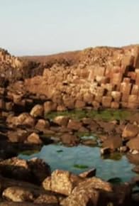 Primary photo for VAIO and the Environment