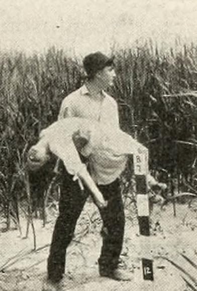 Primary photo for The Toll of the Marshes Primary photo for The Toll of the Marshes