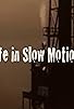 Primary photo for Life in Slow Motion