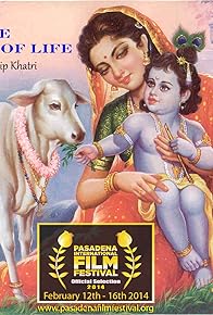 Primary photo for Miracle of Life