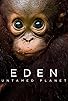 Primary photo for Eden: Untamed Planet Primary photo for Eden: Untamed Planet