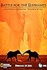 Primary photo for Battle for the Elephants Primary photo for Battle for the Elephants