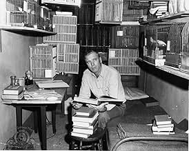 पोस्टर देखें