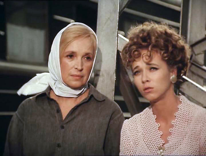 Mashhurlar bilan porno konsert