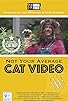 Primary photo for Not Your Average Cat Video Primary photo for Not Your Average Cat Video