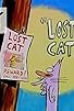 Primary photo for Lost Cat