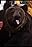 Sugar Bear's primary photo