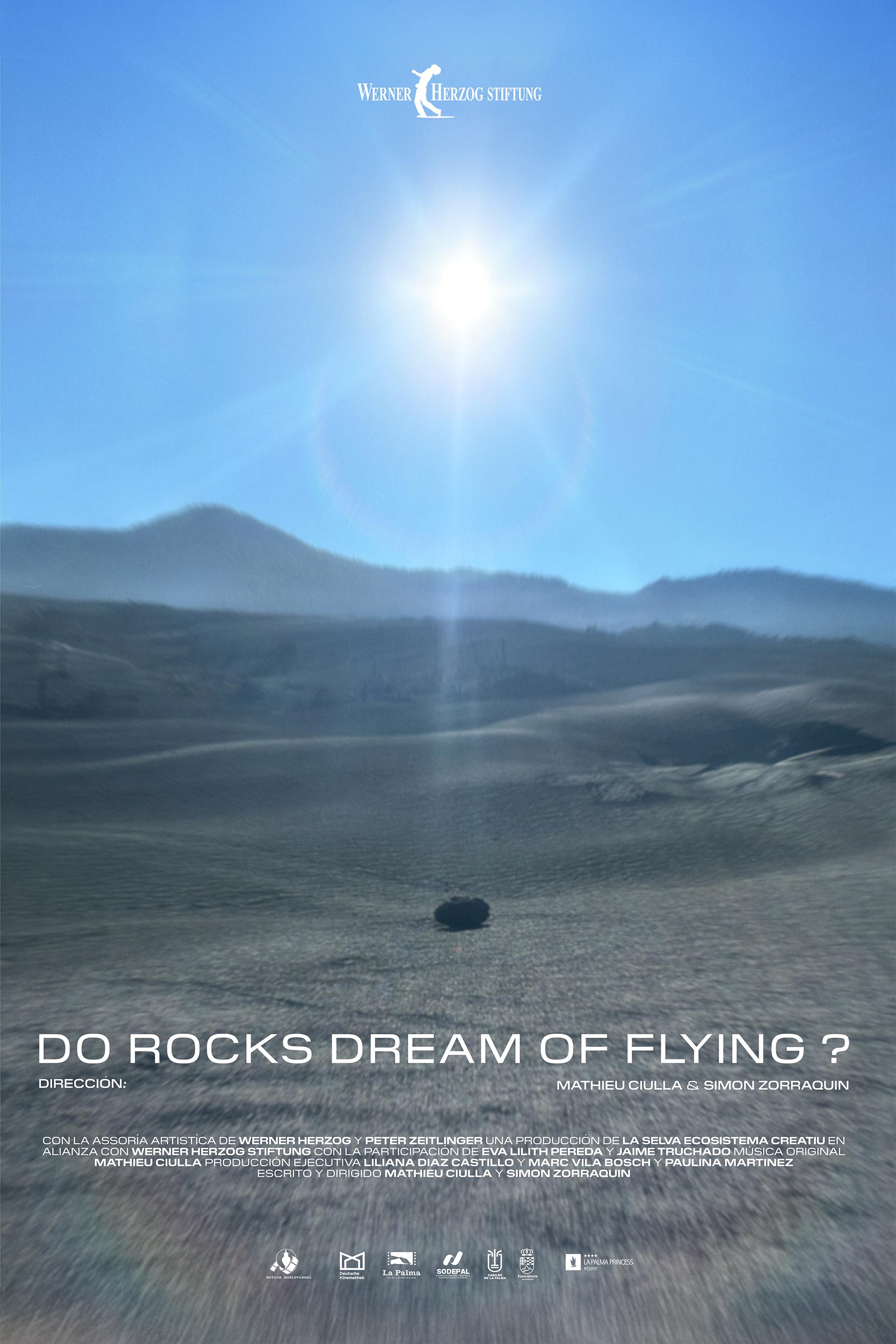 Do Rocks Dream of Flying?