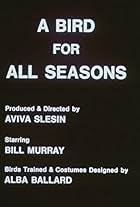 A Bird for All Seasons