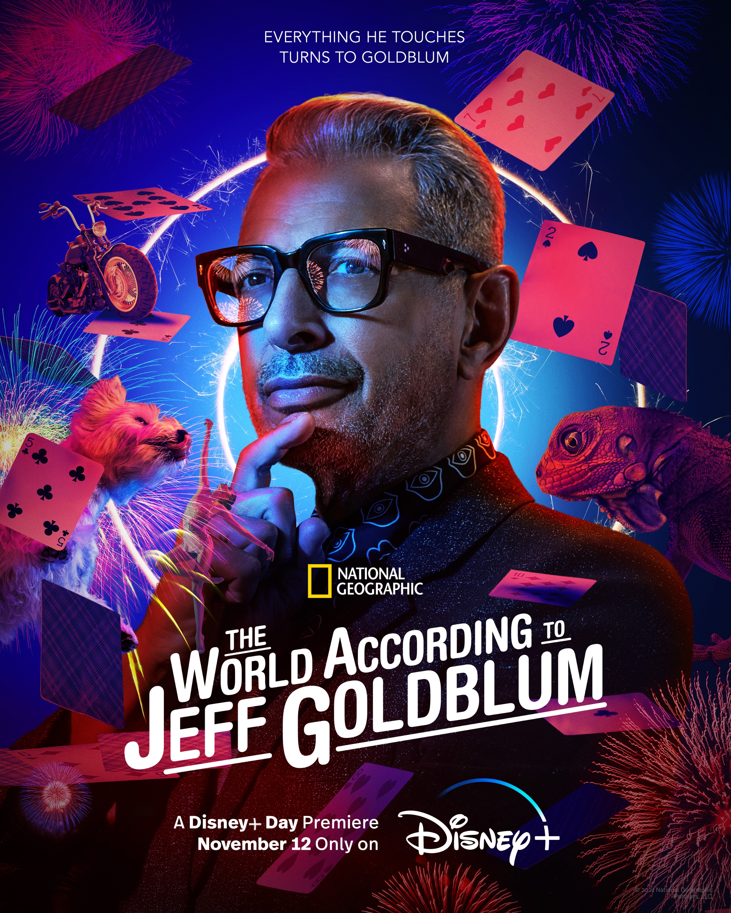Poster of The World According To Jeff Goldblum