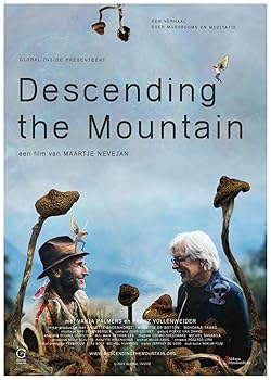 Poster of Descending the Mountain