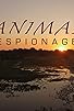 Primary photo for Animal Espionage