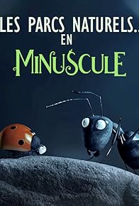 Primary photo for Les parcs naturels... en Minuscule