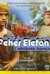 Primary photo for L'elefante bianco Primary photo for L'elefante bianco