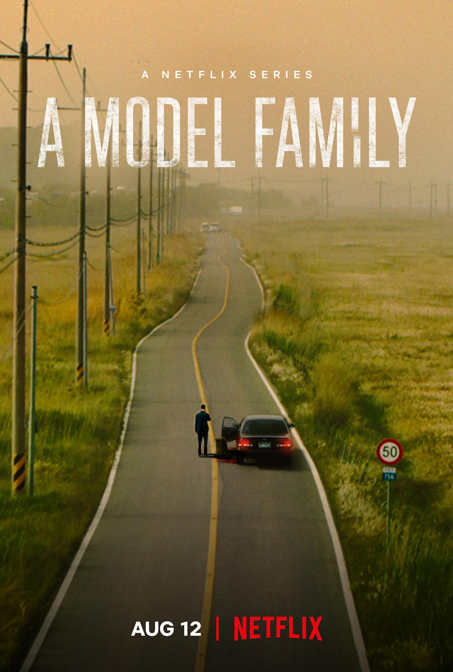 Poster of A Model Family