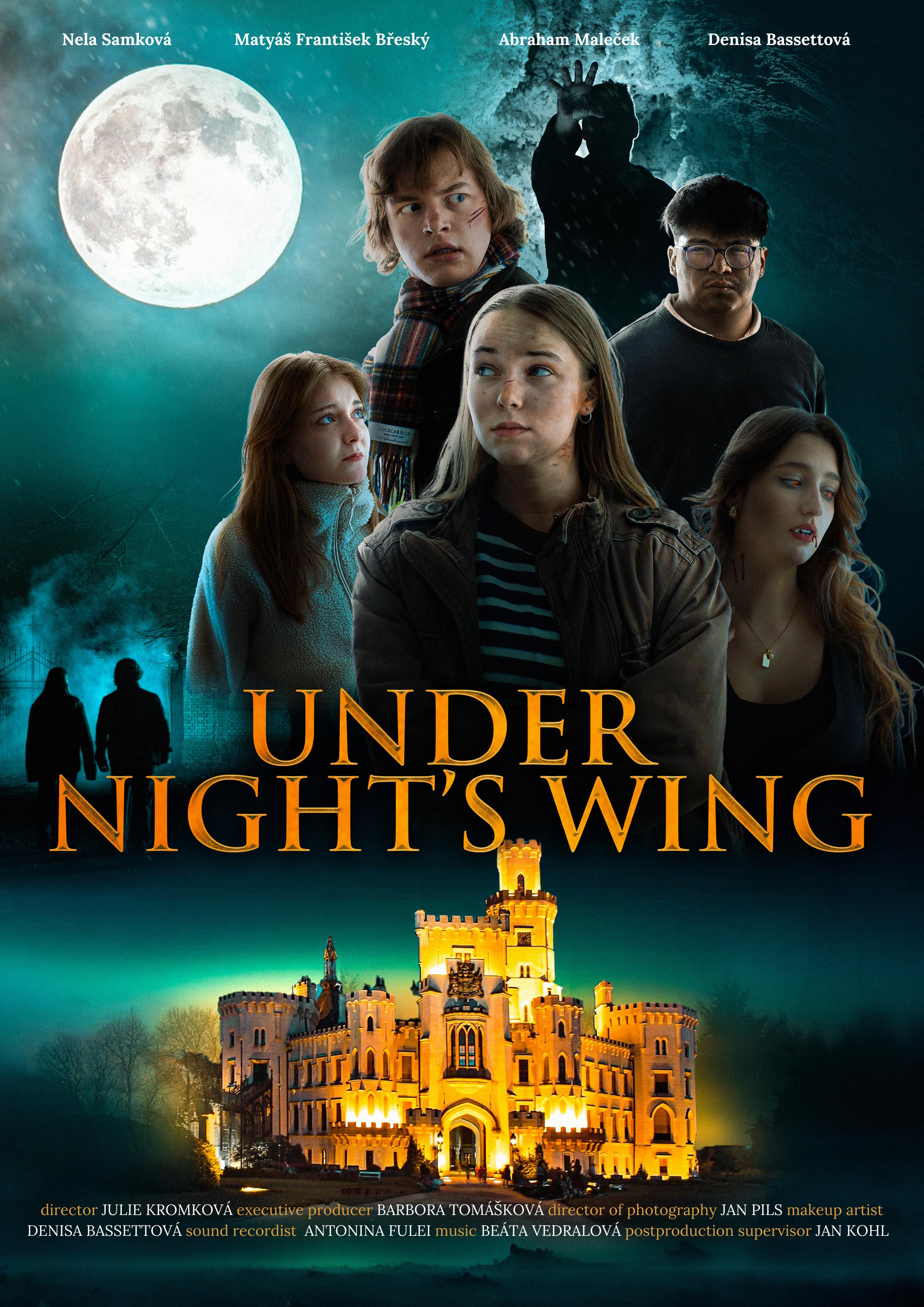 Under Night's Wing