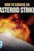 Primary photo for How to Survive an Asteroid Strike: An Asteroid Day Special