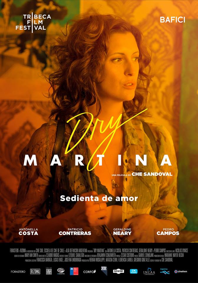 Poster of Dry Martina