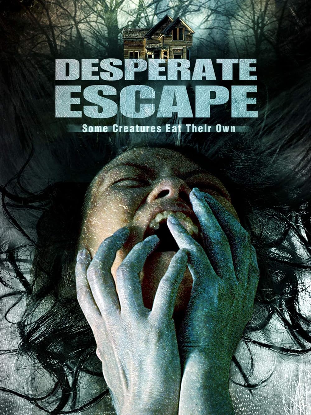 Desperate Escape (2007) IMDb