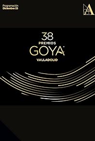 Primary photo for 38 Premios Goya Primary photo for 38 Premios Goya
