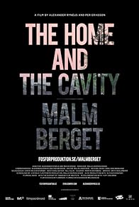 Primary photo for The Home and the Cavity