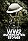 WW2 Unforgotten Stories's primary photo