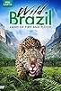 Primary photo for Wild Brazil