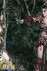 Primary photo for Ang labanan nina Pirena at Danaya Primary photo for Ang labanan nina Pirena at Danaya