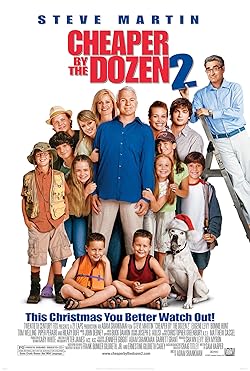 Poster of Cheaper By The Dozen 2