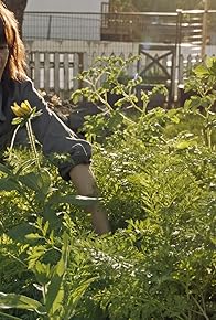 Primary photo for Food without Limits