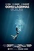 Primary photo for Como lágrimas en la sal